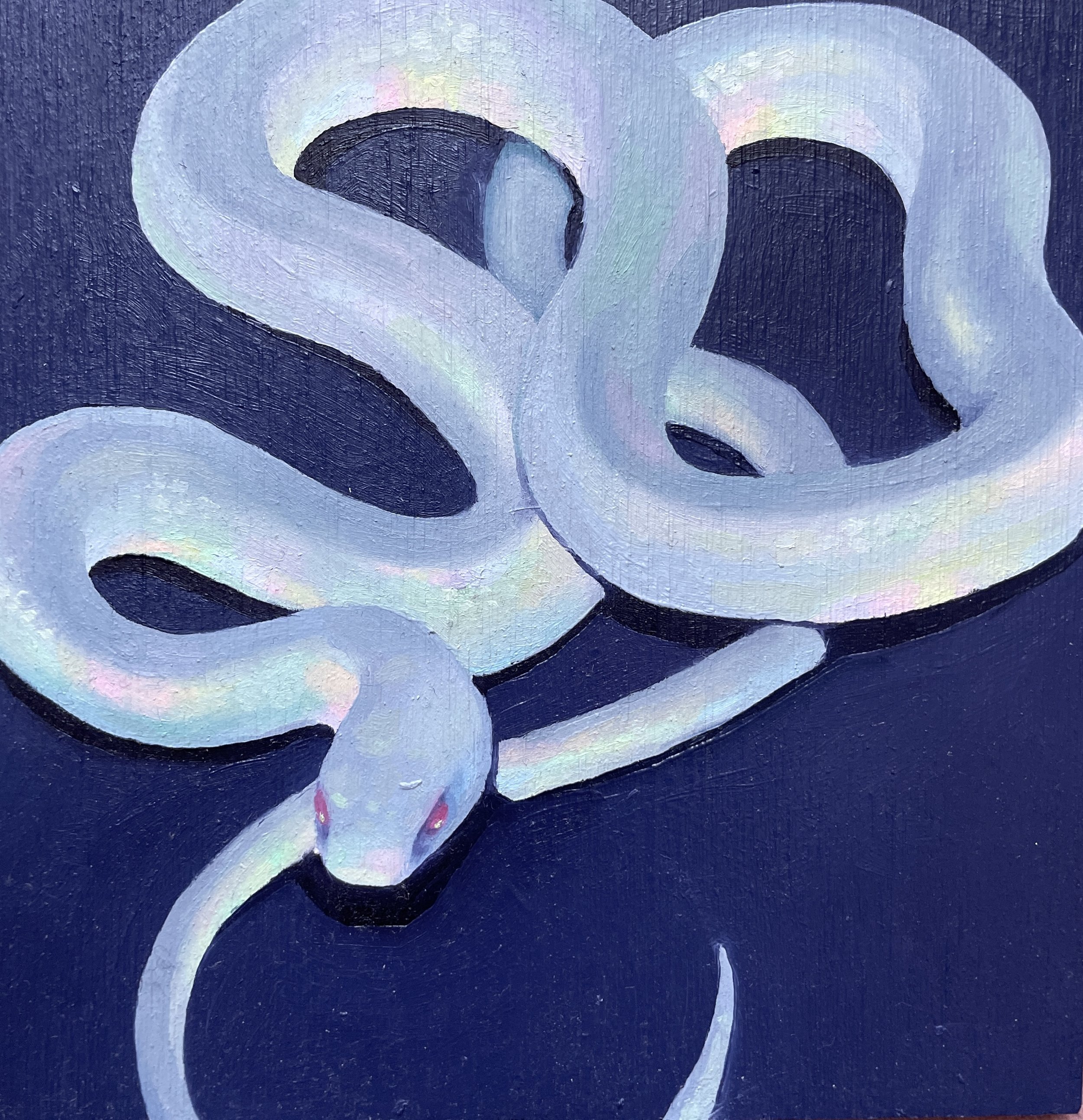 White Snake Study, 2021. Oil on board, 5.5 x 5.5 in.