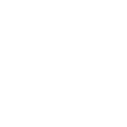 RMISC