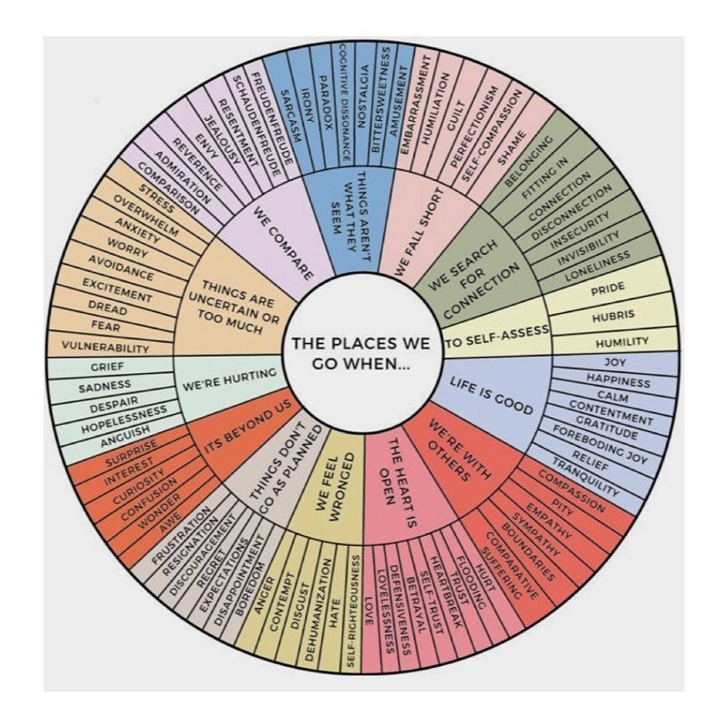 Some of our favorite tools for emotional healing and clearing! 

#robychart #emotioncode #polaritytherapy #energycurrents #craniosacraltherapy #emotionalwheel