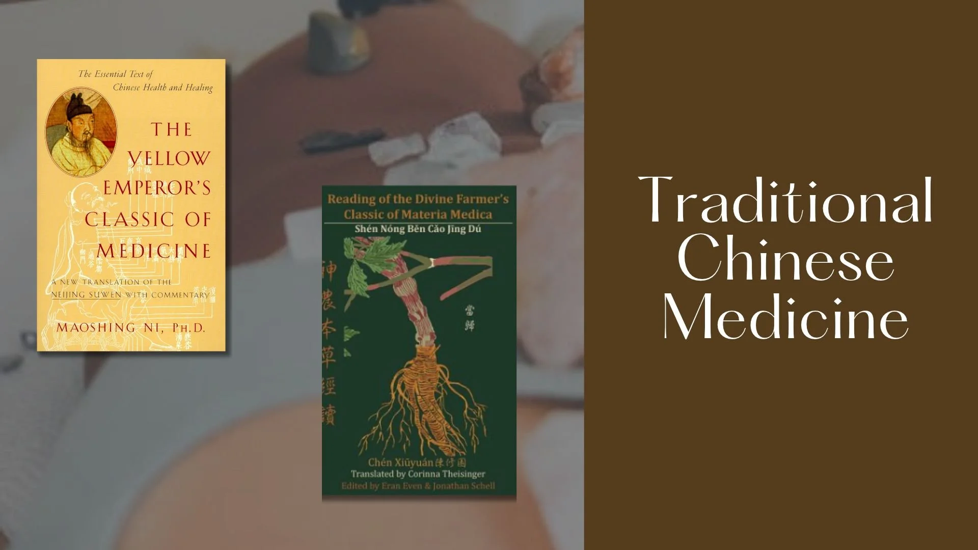 Traditional Chinese Medicine: Theory and History