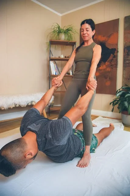 Understanding Ayurveda: Theory and History