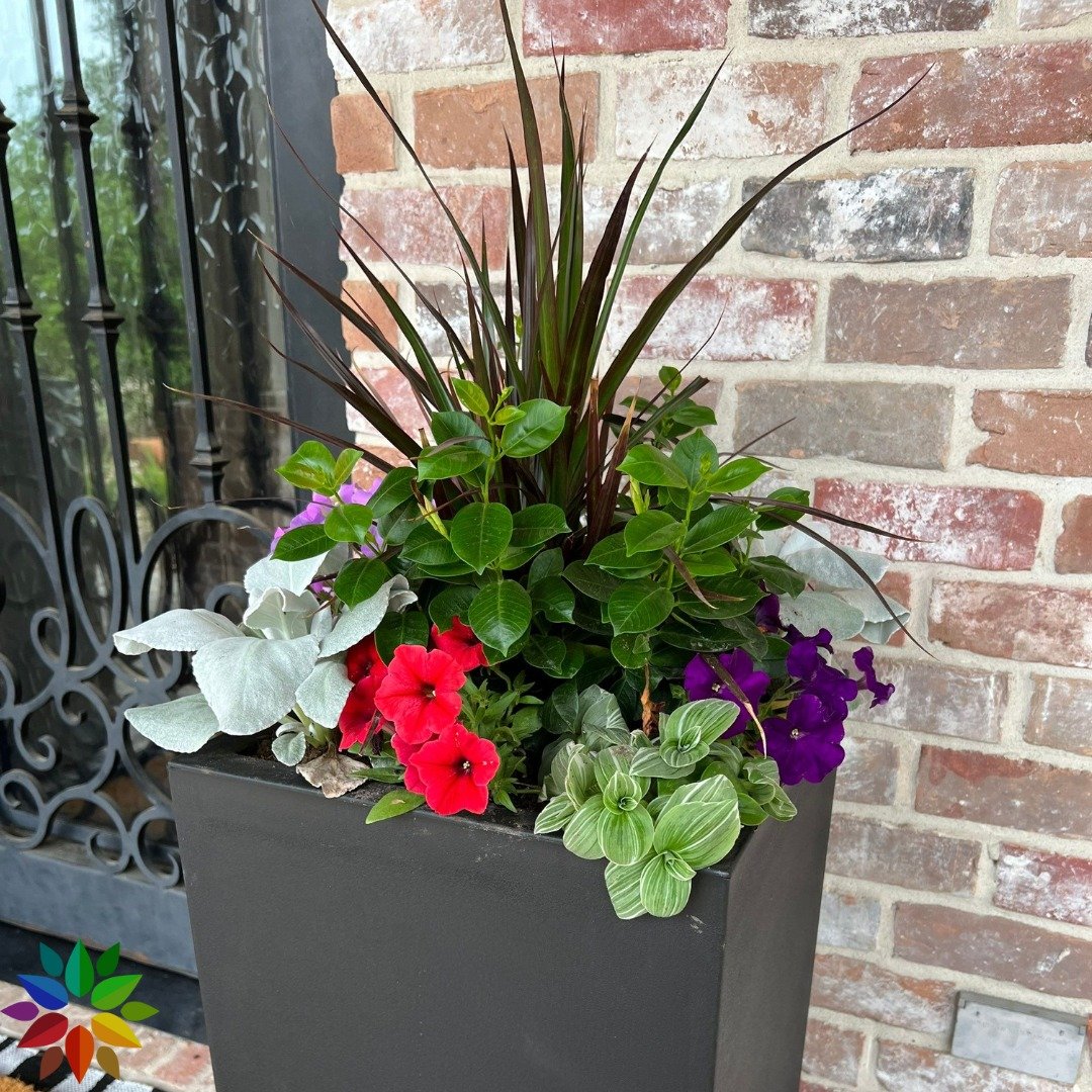 &quot;🌸🌿 Ready to elevate your flowerpots to the next level? Here are some pro tips for crafting stunning annual flowerpot arrangements:

Choose Your Stars:

Thriller: Pick a striking centerpiece plant that commands attention, like a vibrant coleus