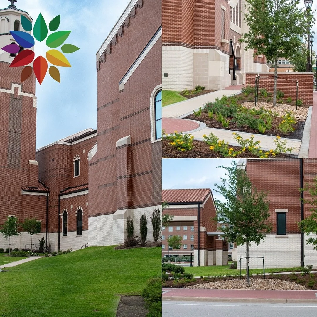 Keeping the landscape at St. Mary&rsquo;s Church fresh, clean, and beautifully maintained 

#CollegeStationLandscaping #BryanCollegeStation #CommercialLandscaping #LandscapeMaintenance #TexasLandscaping #GreenTeams #CSTX #GroundsMaintenance #Professi