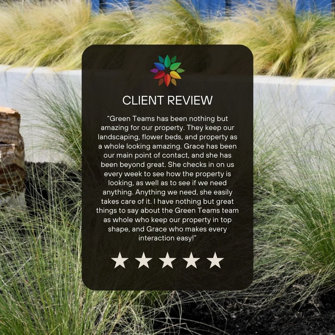 Client review Tuesday! 🌿🌸
#clientreviews #clientappreciation #weloveourclients #landscapemaintenance #txlandscaper #commericallandscaping #commericalmaintenance #collegestationtx #brazosvalleybusiness #brazosvalleylandscaping #collegestationlandsca