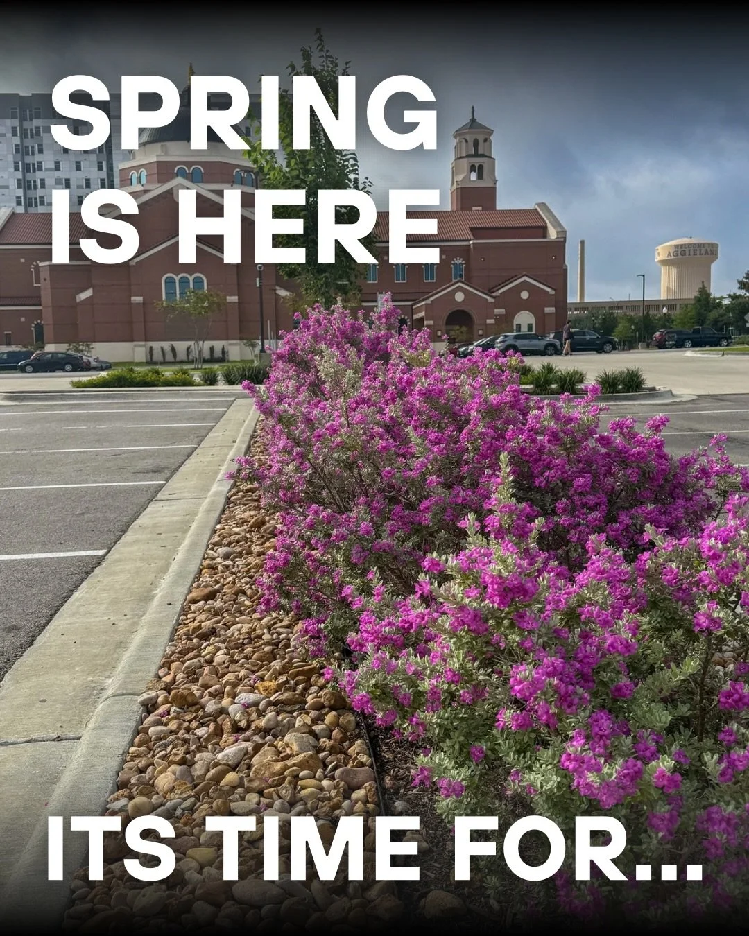 A new season means a fresh start for your landscape. Proper irrigation, seasonal color, mulch, and pruning all work together to keep your property looking its best.🌿☀️🌸
#texaslandscaper #collegestationlandscaper #springlandscaping #curbappeal #bedm
