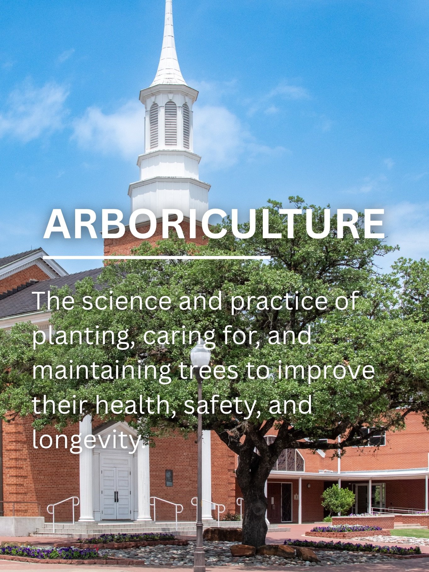 Trees need care just like any other part of your landscape. Arboriculture focuses on keeping trees healthy, strong, and safe for years to come. 🌳
#arborculture #treemaintenance #curbapeal #arborculturetx #collegestationarborists