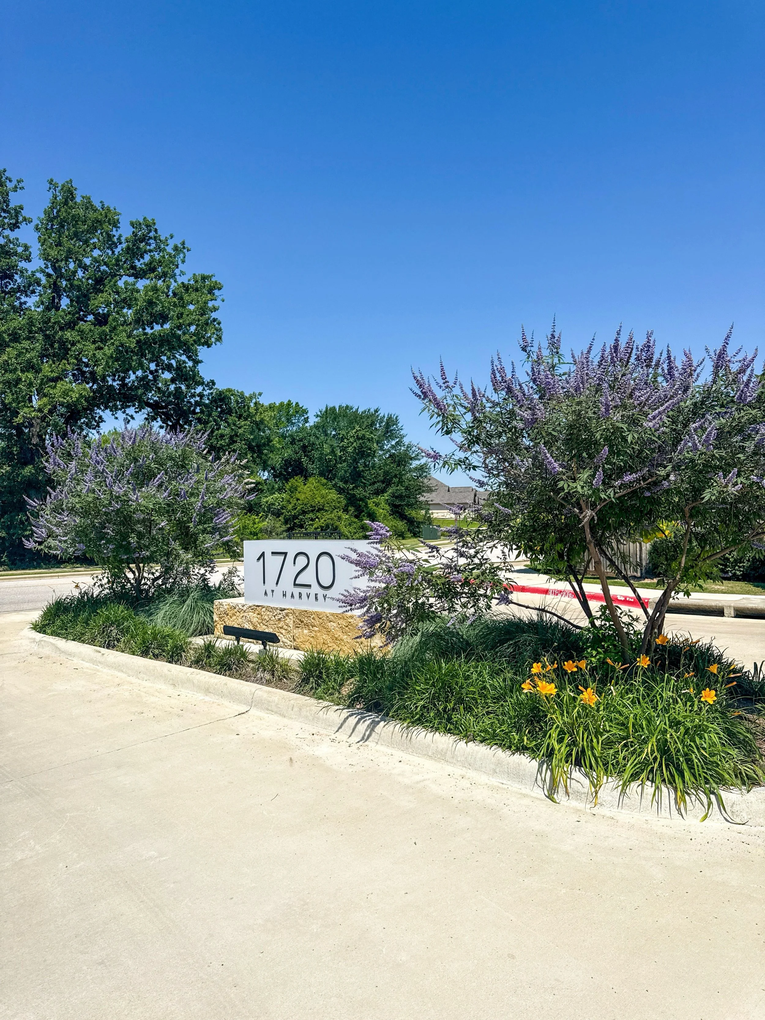 Bright &amp; Vibrant ☀️🌿🪻🌼
#landscaper #txlandscaper #landscapedesign #collegestationlandscaper #landscapemaintenance
