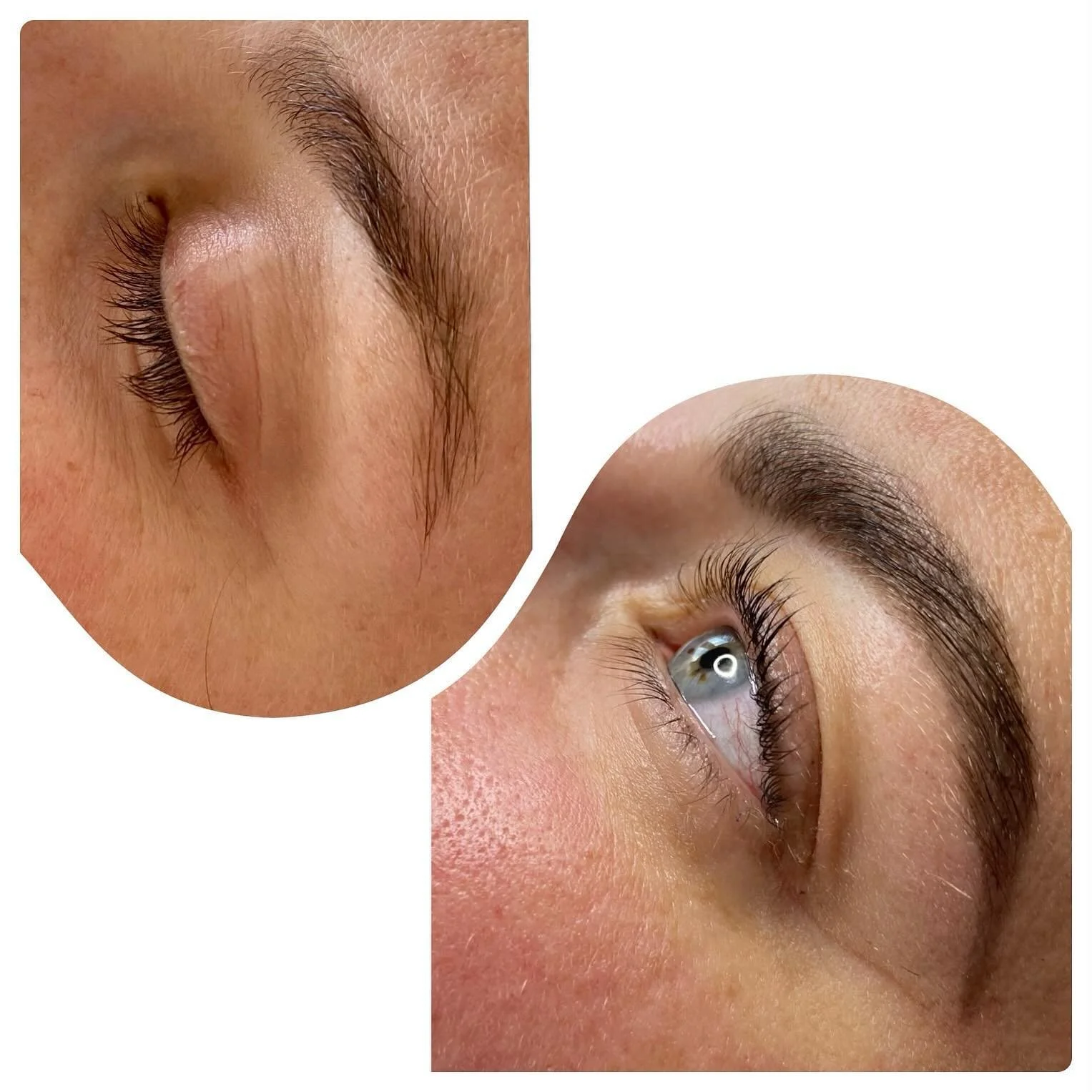 Henna mit Lash  Lifting 🥰