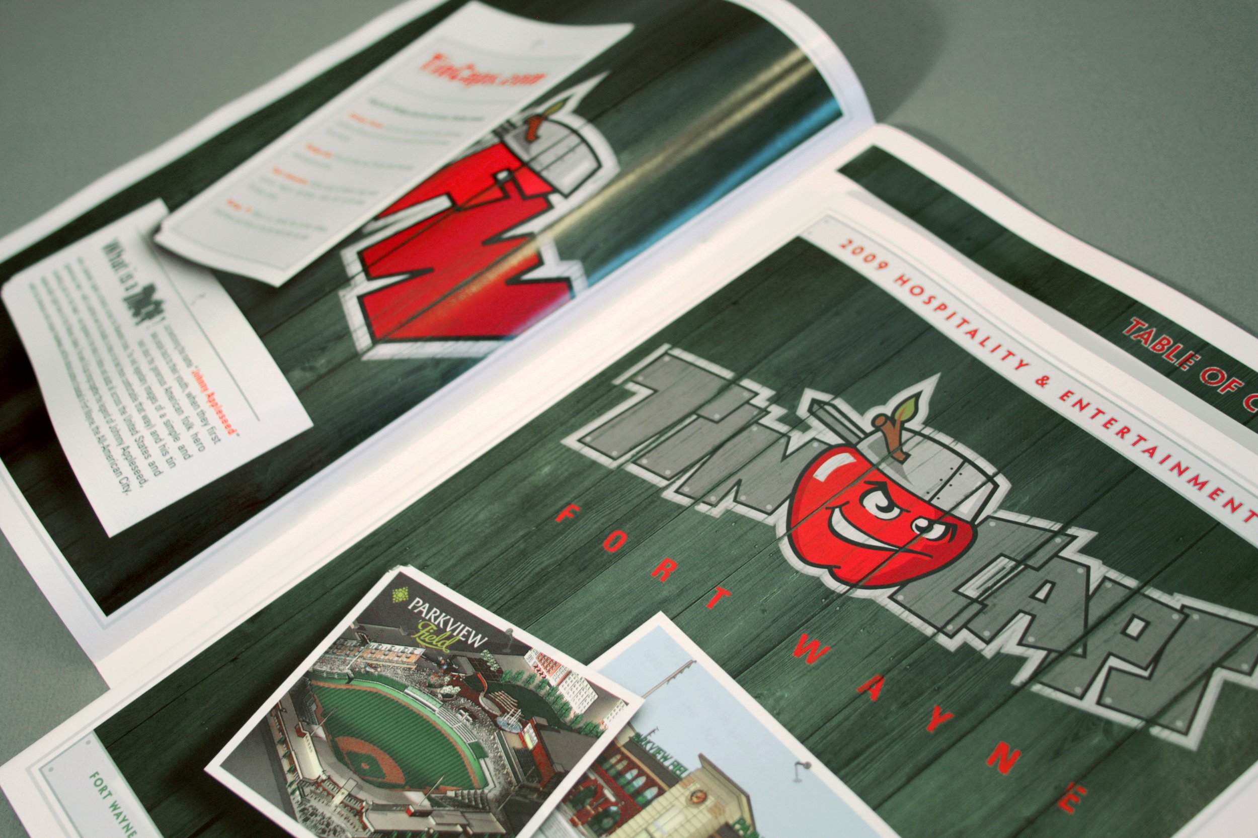 TinCaps Brochure.jpg