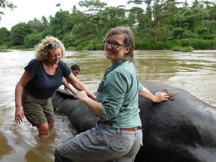 WhatsApp Image 2023-04-19 at 06.04.08.jpeg