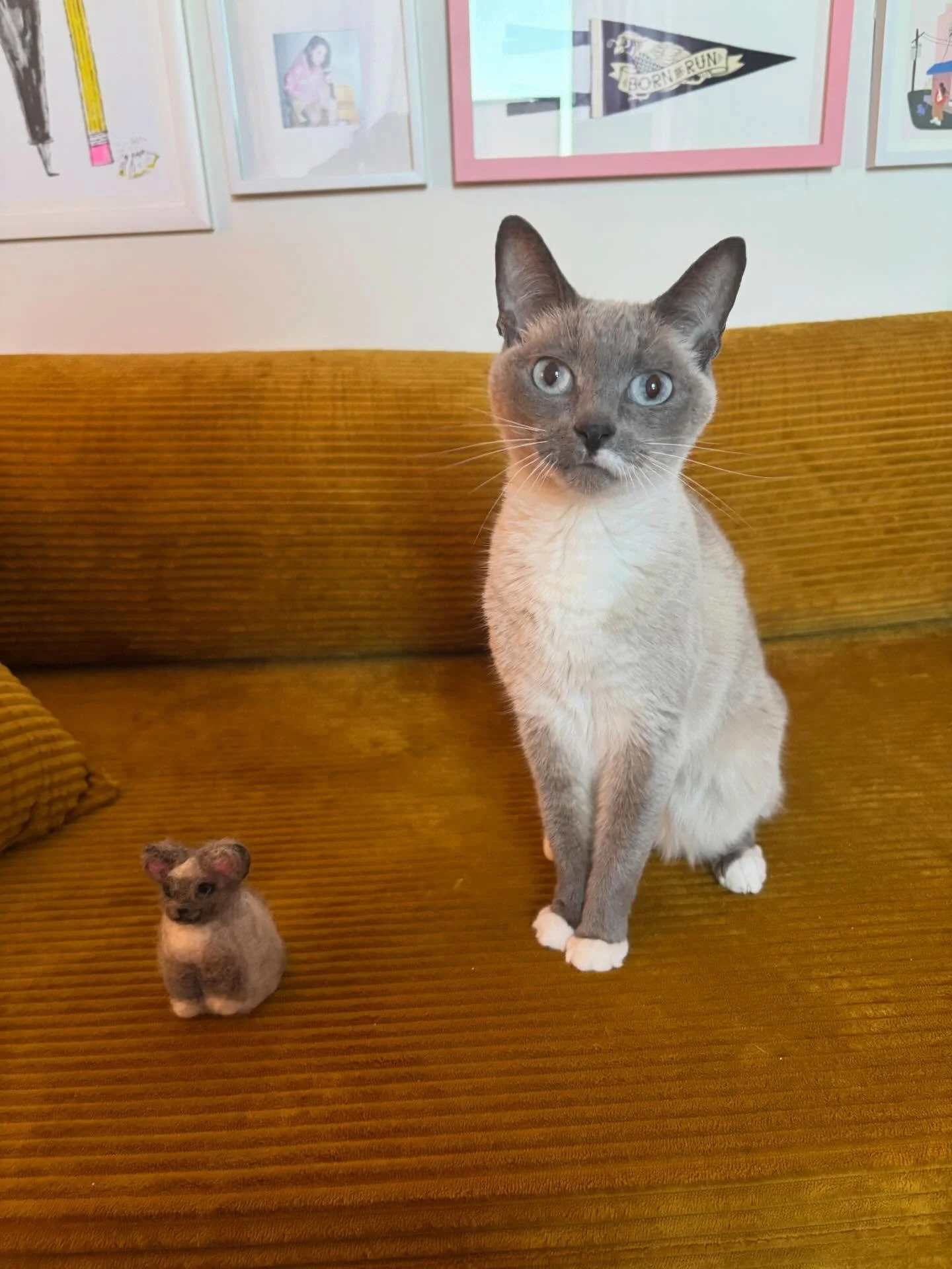 My daughter in felt form 🥹say hello to fubbins (felt nubbins). 

This one was too cute not to make the grid 🐱 Also, felting is so fun and the lil stabs are oh so satisfying (but I think Nubbins was shocked to see her mini me stabbed 😅)