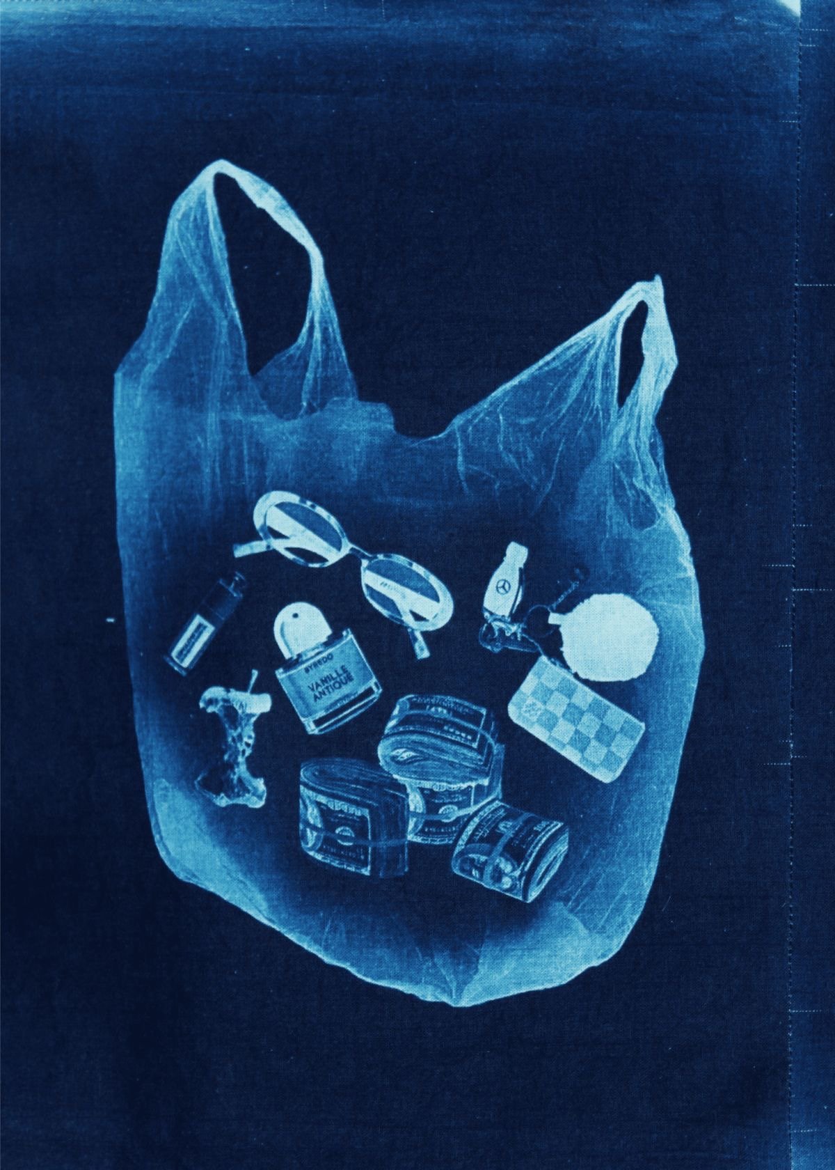 Crafternoon Club: Cyanotypes 