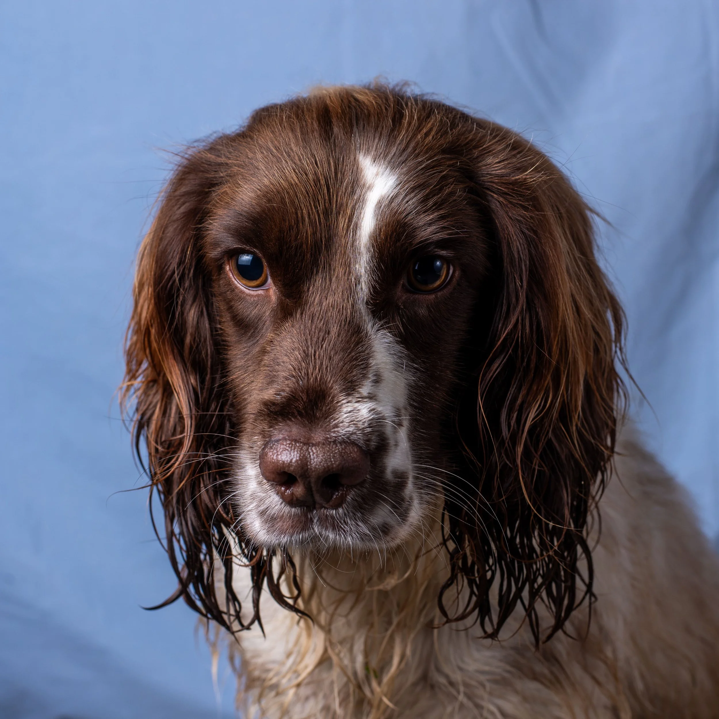 Studio Session test2.jpg