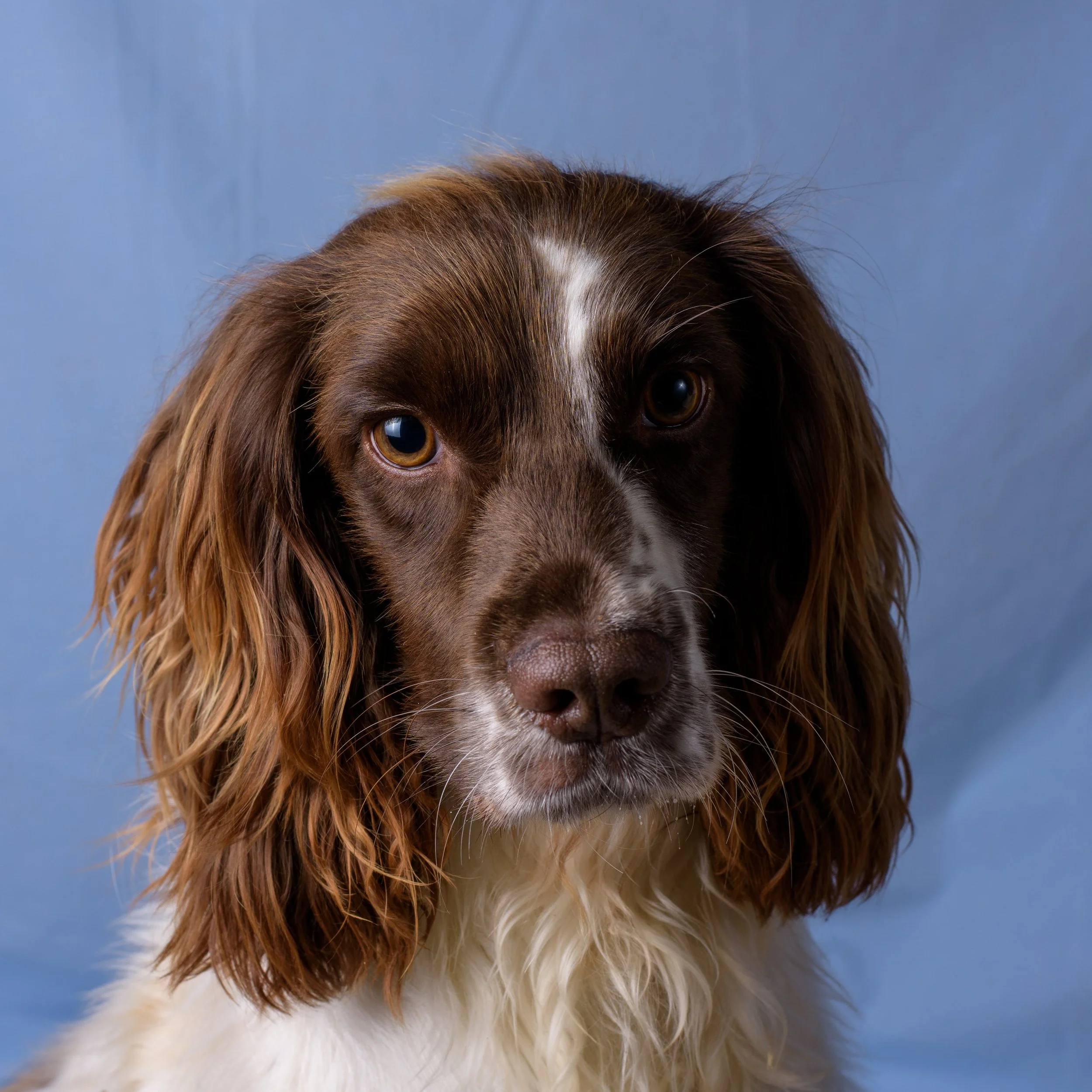 Studio Session test.jpg