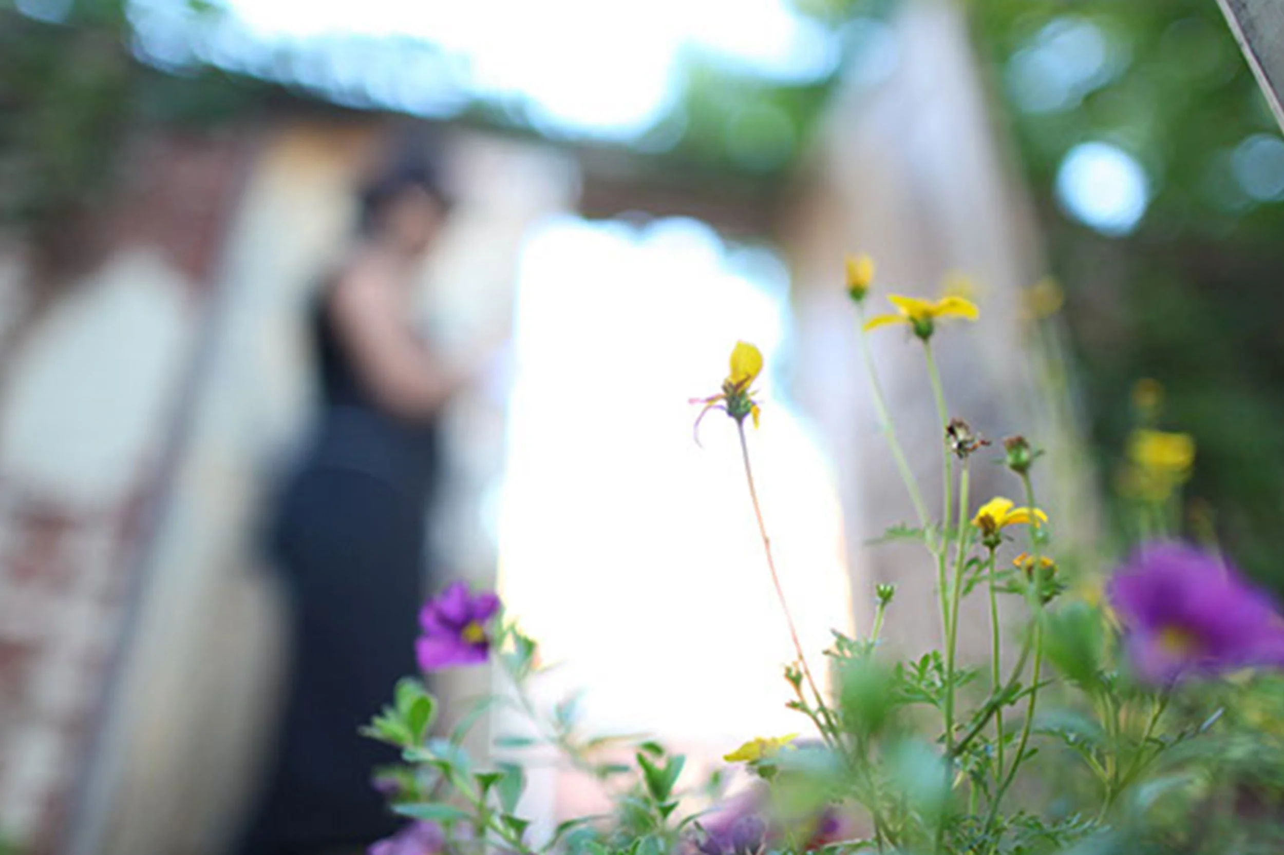 eating vincent price luxury pop-up dinner chicago