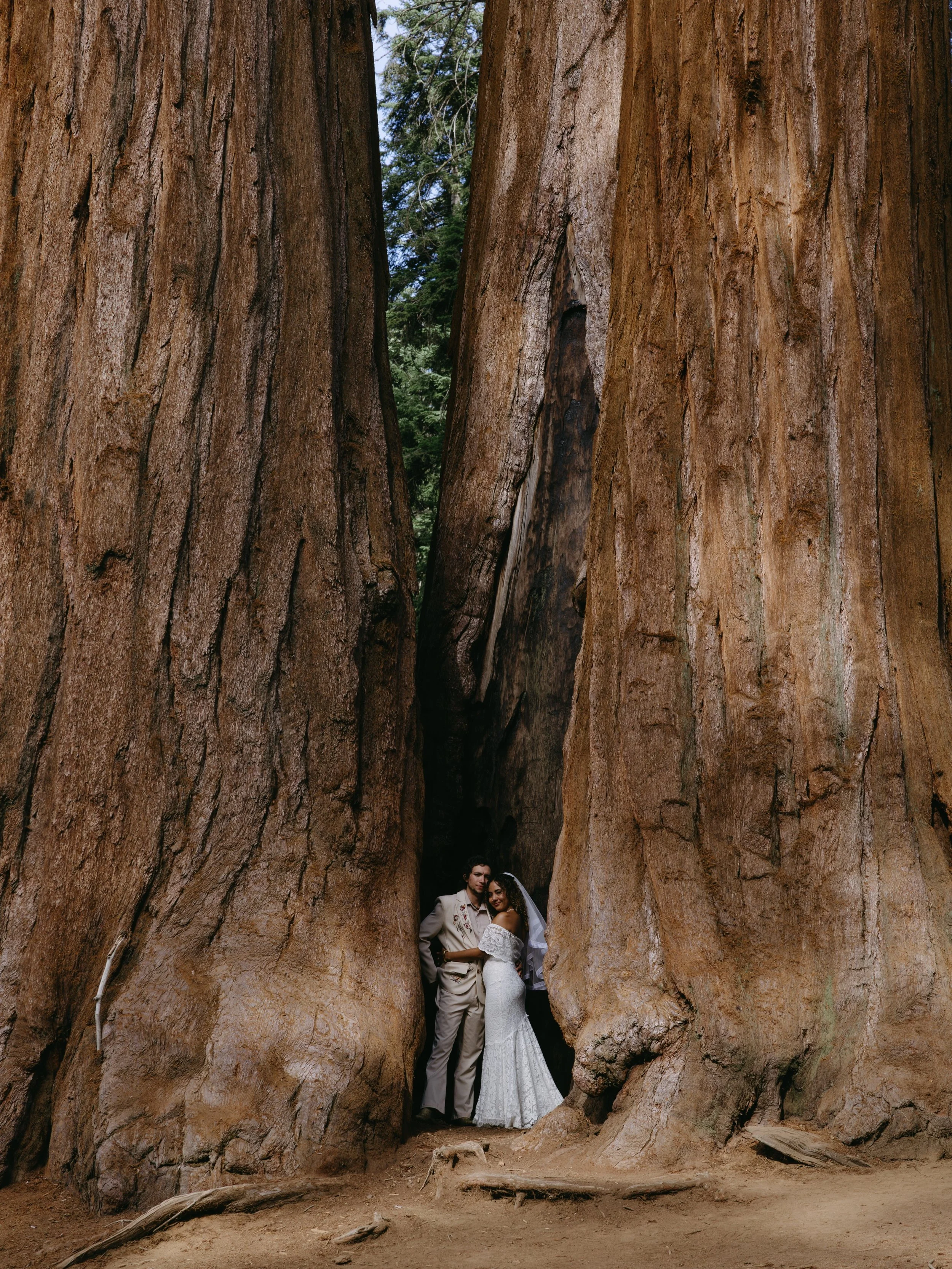 Lorena and Balthazar&rsquo;s wedding at Sequoia National Park 🤎🌲💫 
@_idklorena_ @balthaguirre

@sequoiakingsnps
@canonusa
