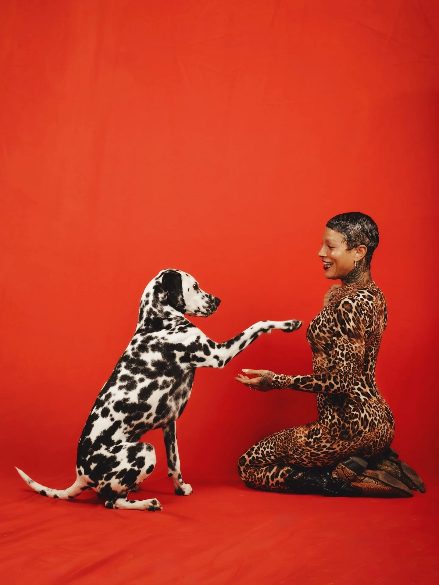 Studio session with @theresjustsomethinaboutmick and Hellboy 🐆❤️&zwj;🔥🦴 

Let me know if you would like studio photoshoot, i got you 🪔