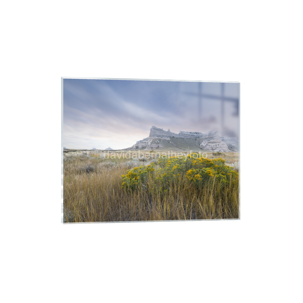 ptq_17_6_871_0_6448_5159_0_false_ffffff_0_0_2f8cfe2ad1e0ba552bc44055913b86c8.png