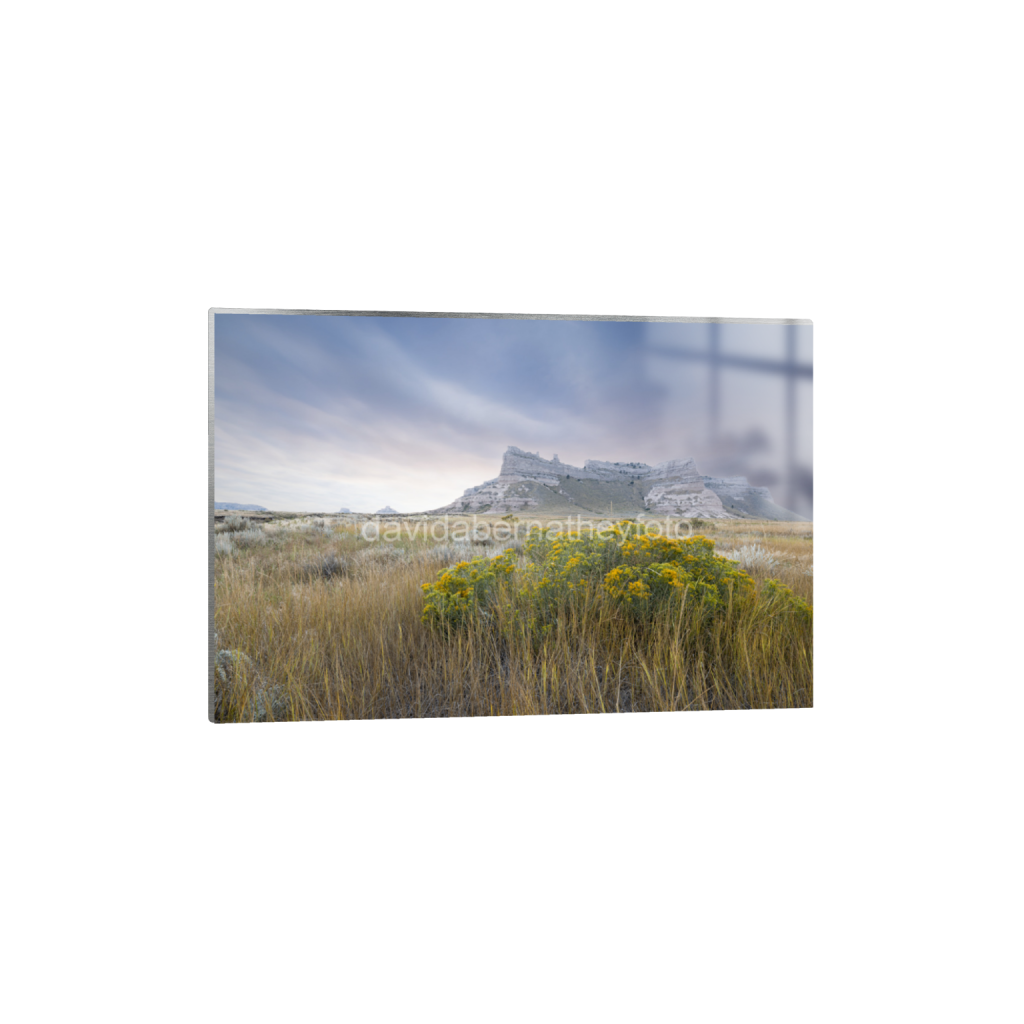 ptq_13_3_346_0_7738_5159_0_false_ffffff_5_5_2f8cfe2ad1e0ba552bc44055913b86c8.png
