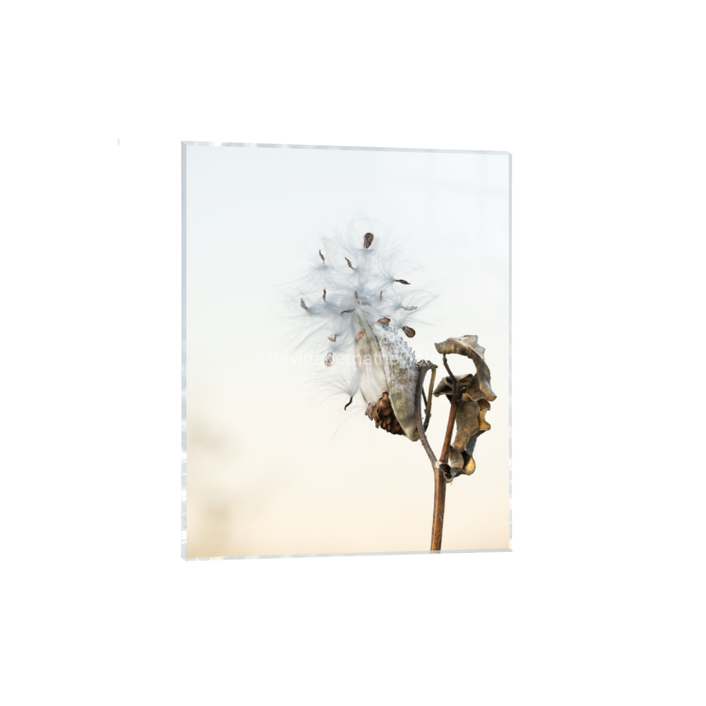 ptq_17_6_0_676_5472_6840_0_false_ffffff_0_0_2f8cfe2ad1e0ba552bc44055913b86c8.png
