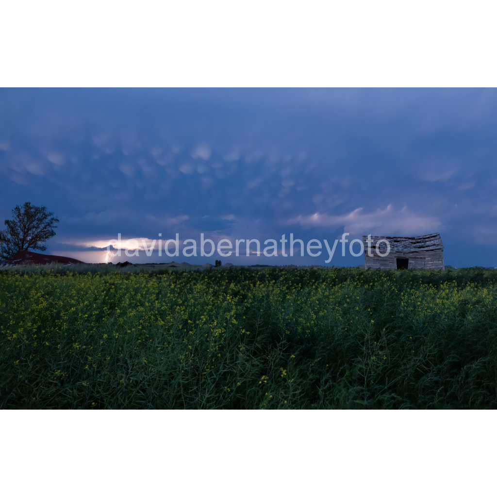 image_original_2f8cfe2ad1e0ba552bc44055913b86c8.png