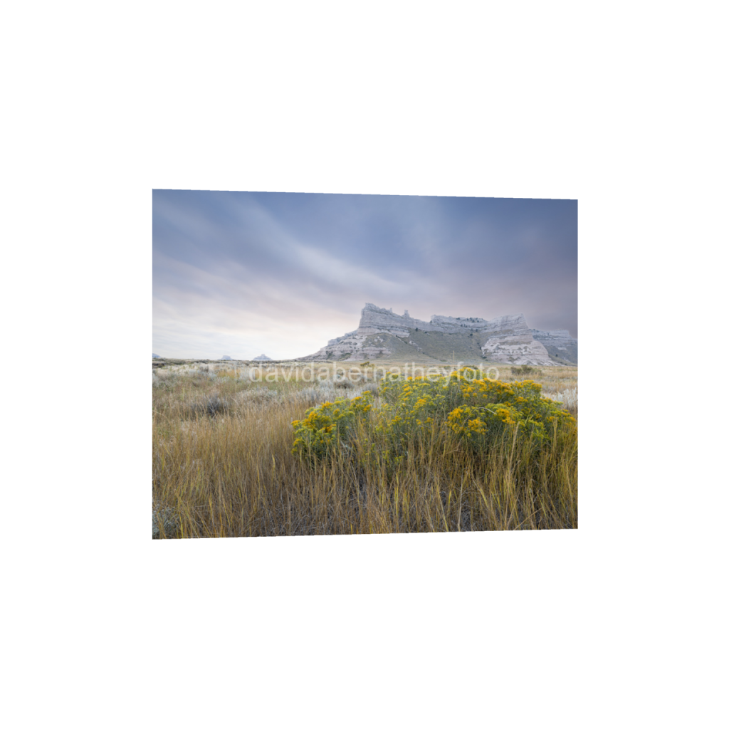ptq_34_6_871_0_6448_5159_0_false_ffffff_0_0_2f8cfe2ad1e0ba552bc44055913b86c8.png