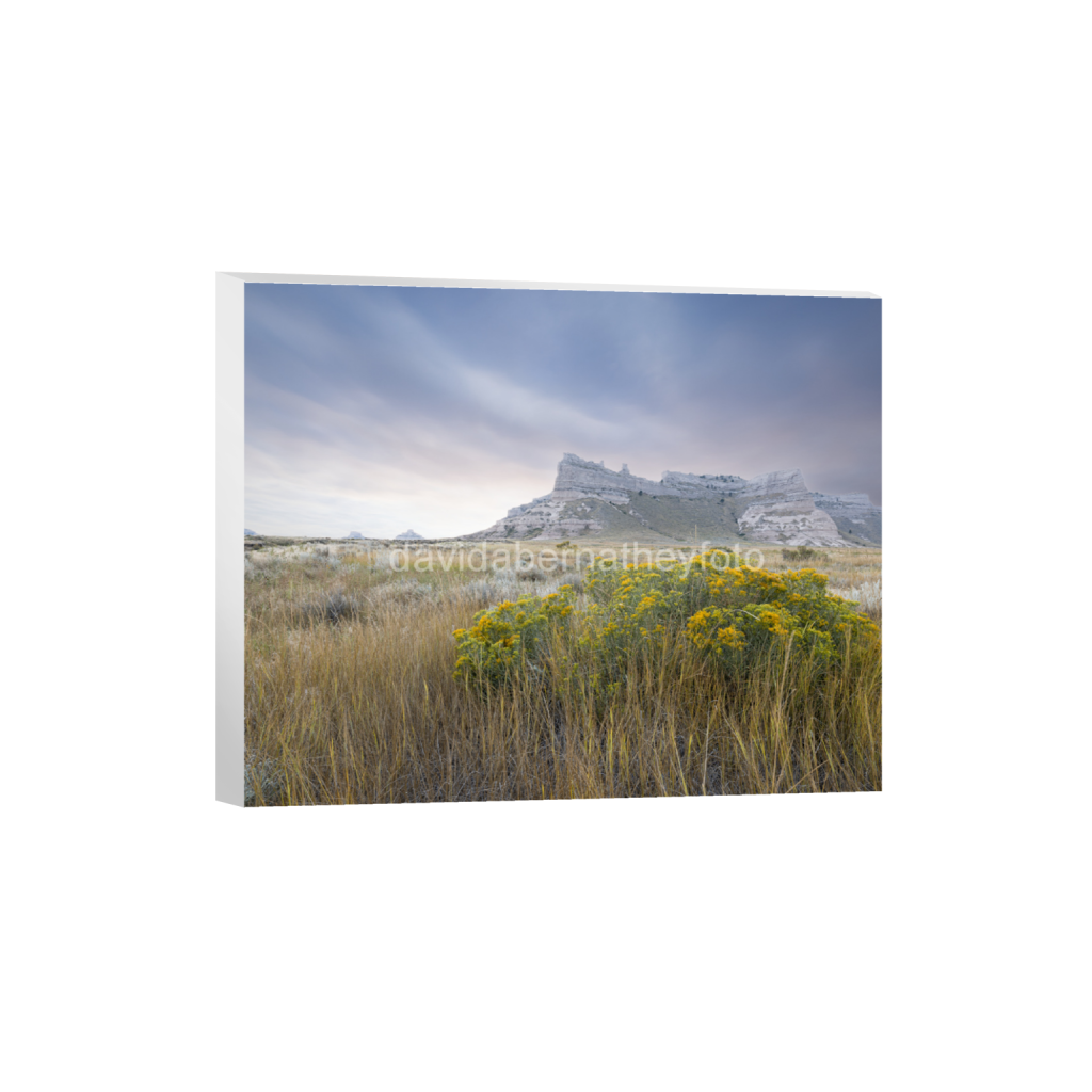 ptq_7_6_871_0_6448_5159_0_false_ffffff_0_0_2f8cfe2ad1e0ba552bc44055913b86c8.png