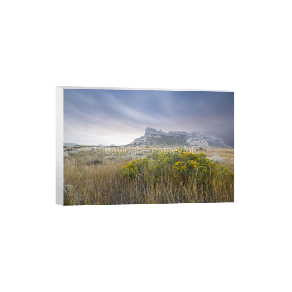 ptq_7_3_346_0_7738_5159_0_false_ffffff_5_5_2f8cfe2ad1e0ba552bc44055913b86c8.png