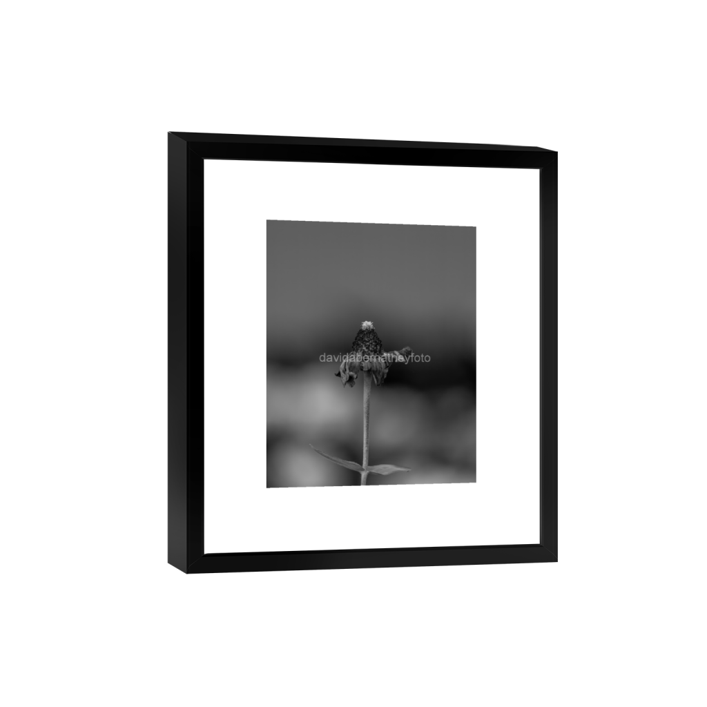 ptq_45_6_0_178_4620_5775_0_false_ffffff_0_0_2f8cfe2ad1e0ba552bc44055913b86c8.png