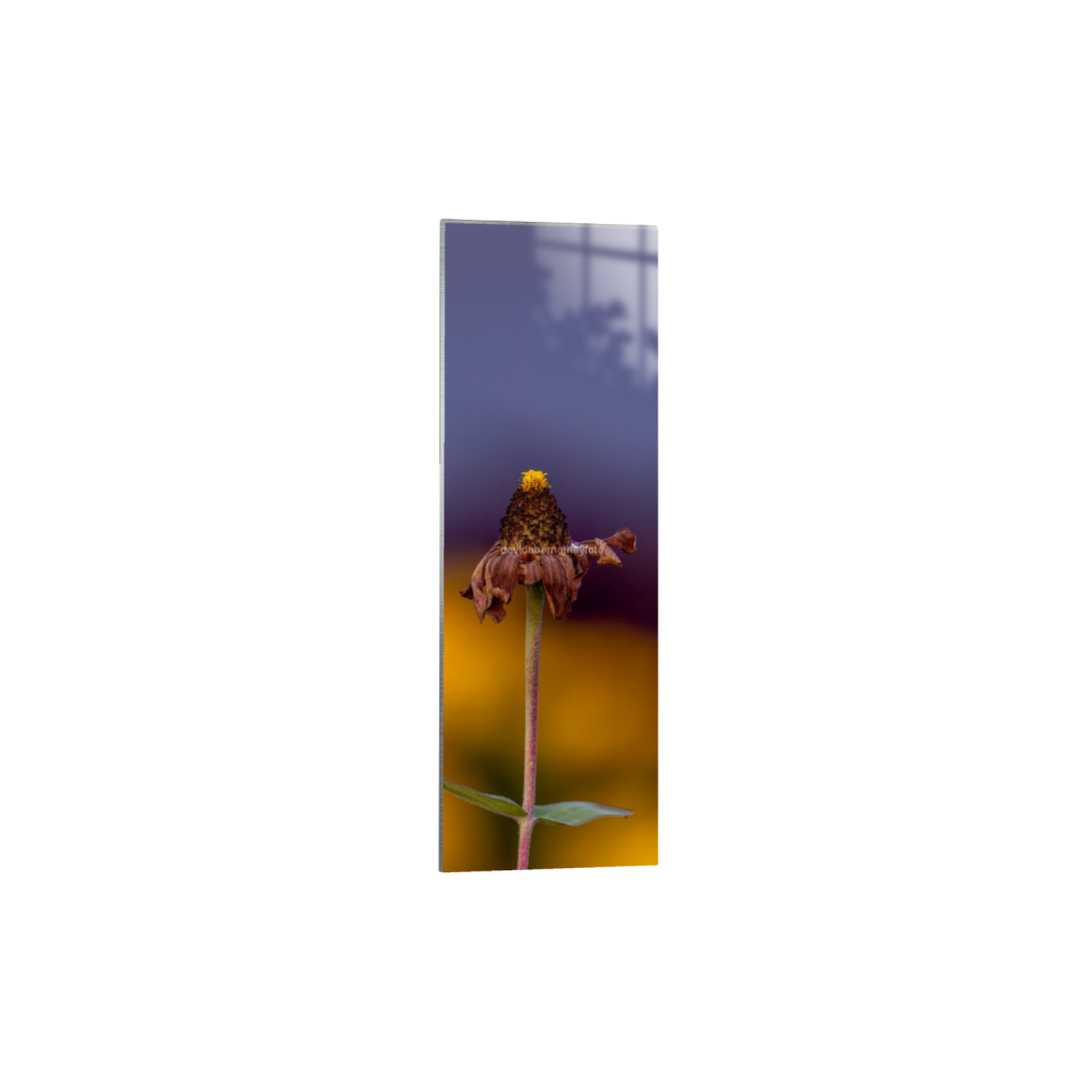 ptq_13_2_1288_0_2044_6132_0_false_ffffff_0_0_2f8cfe2ad1e0ba552bc44055913b86c8.png