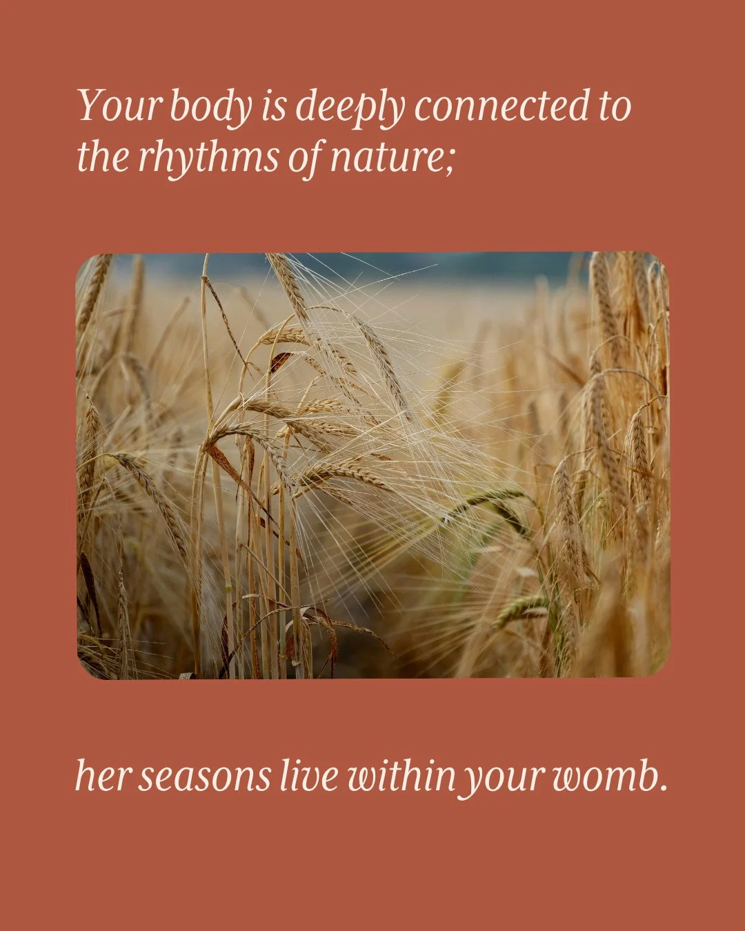 Your body is deeply connected to the rhythms of nature. πΏβ 
Her seasons live within your womb — mirroring the waxing and waning of the moon, the ebb and flow of the tides, the blooming and resting of the Earth.β 
β 
Just as nature cycles through