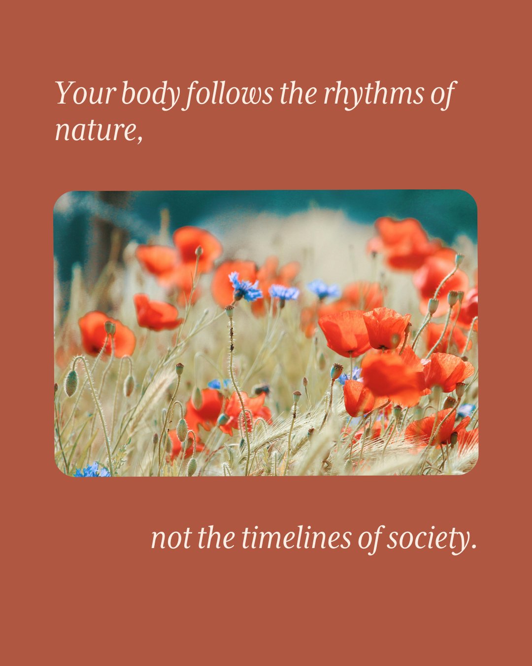 As women, our bodies follow a cyclical pattern seen in the moon, the tides, the cycles of the natural world. ⁠
⁠
Our masculine, capitalist society follows a different timeline, one of deadlines, progress, and upward linear growth.⁠
⁠
Don't be hard on