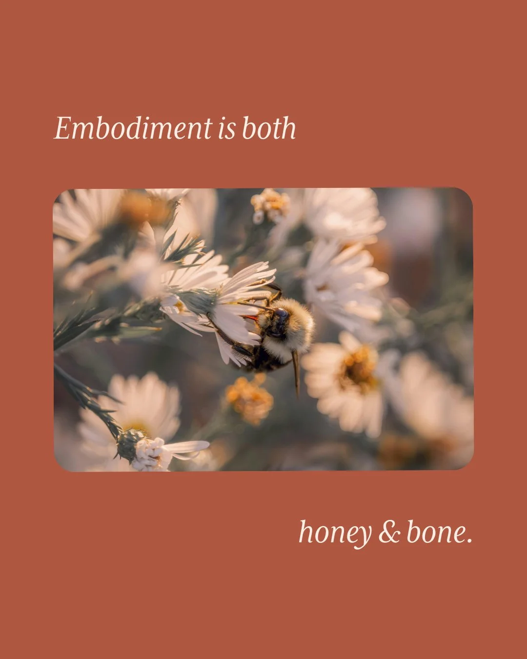Embodiment is both honey and bone.⁠
⁠
Honey is the softness true embodiment asks for-- Nourishment. Compassion. Ritual. The slow return to yourself. The places where the body softens enough to feel, receive, and be tended.⁠
⁠
Bone is the deeper struc