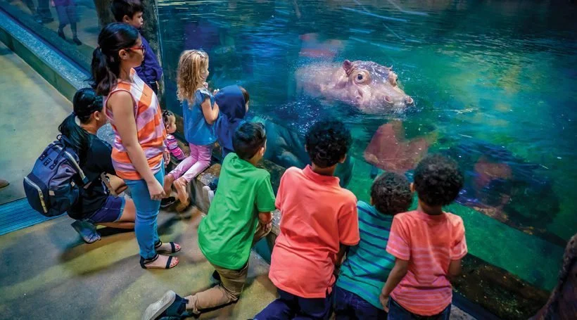 Adventure Awaits at Camden’s Adventure Aquarium