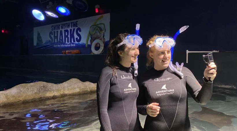 Shark Bait