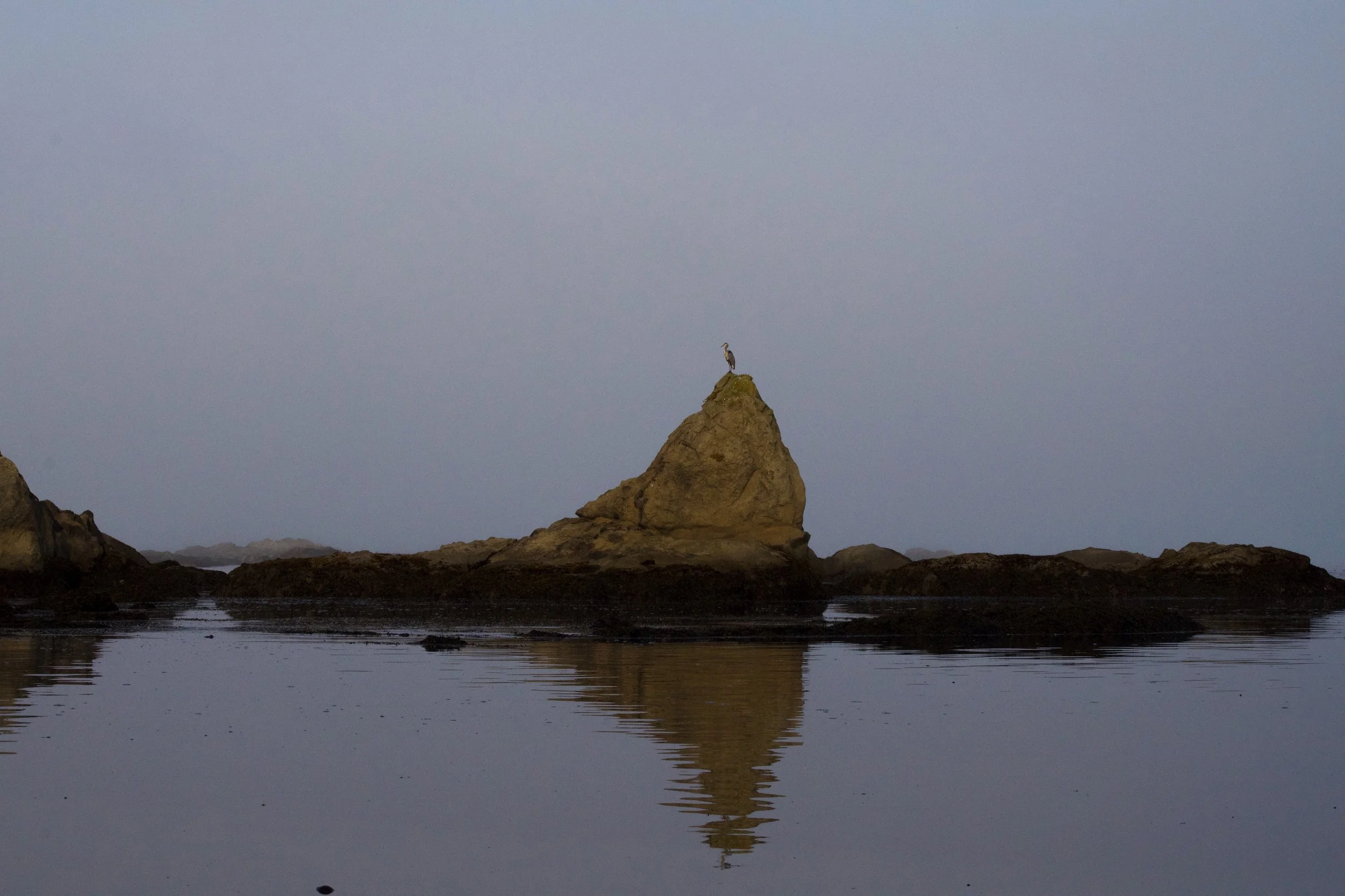 DSC_0459-2.jpeg