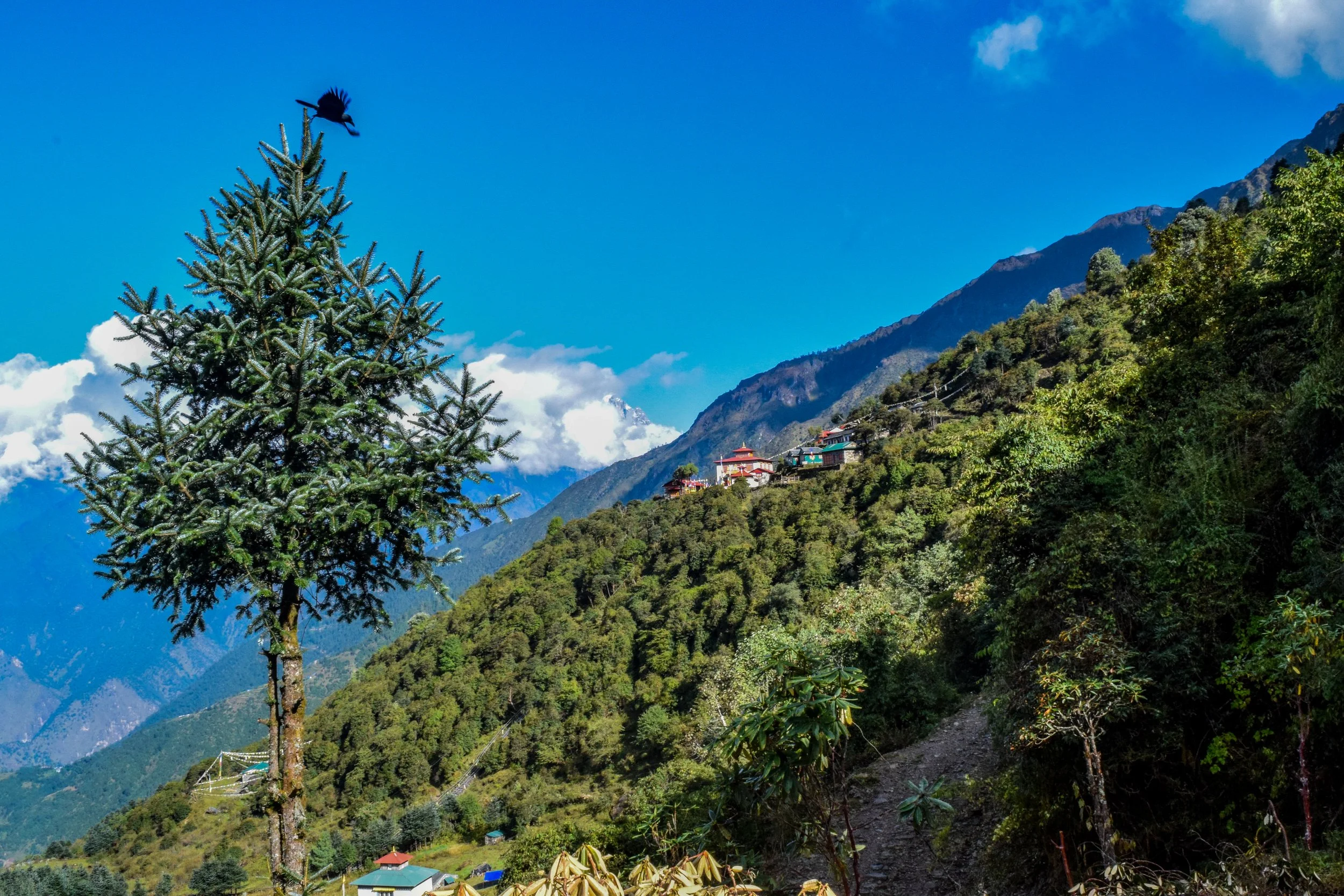 Nepal.jpg
