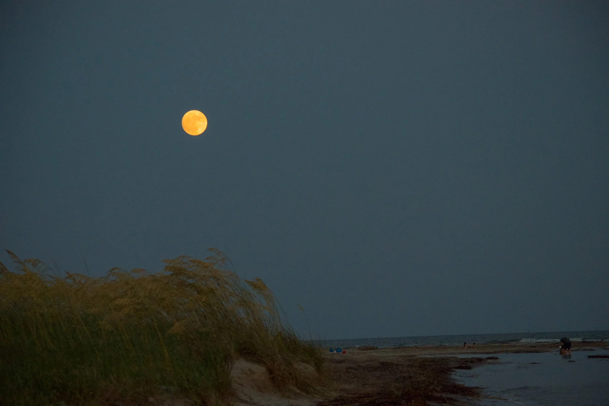 DSC_0256-2.jpeg