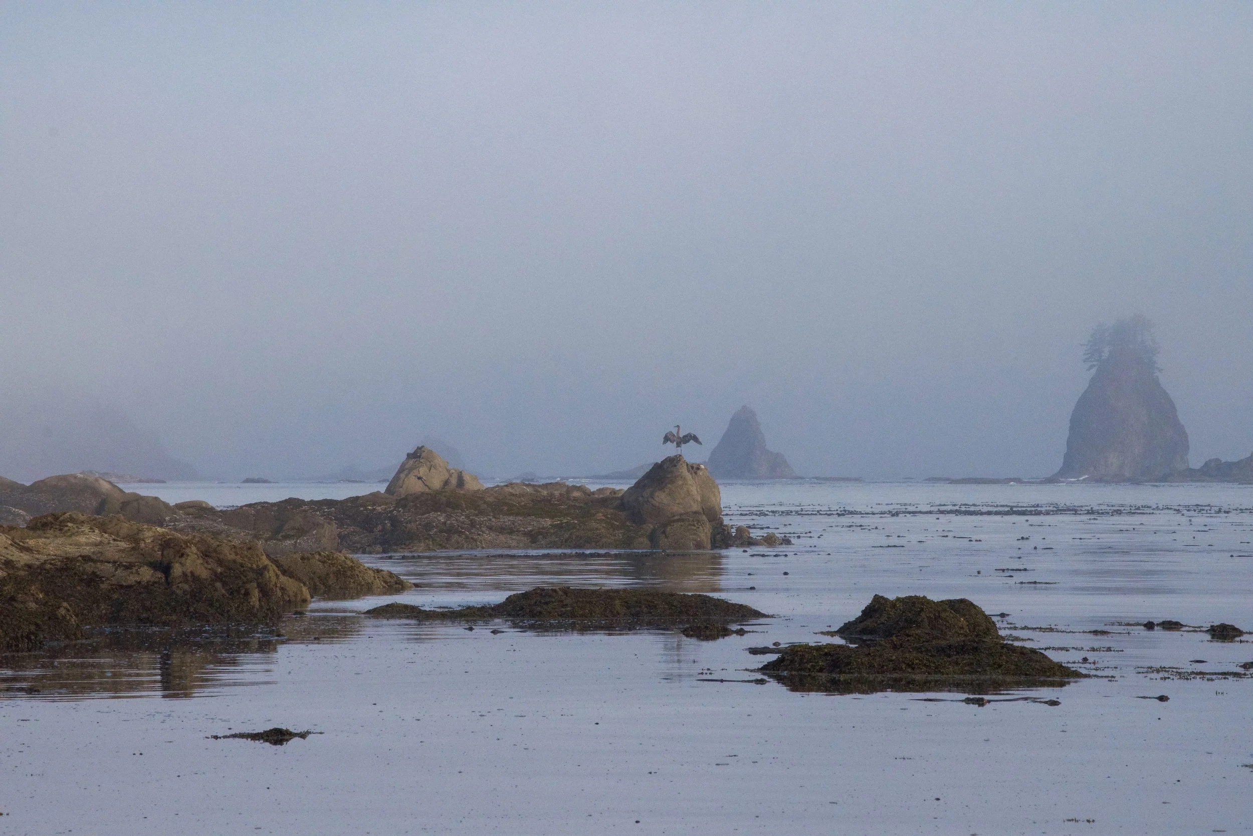 DSC_0536.jpeg