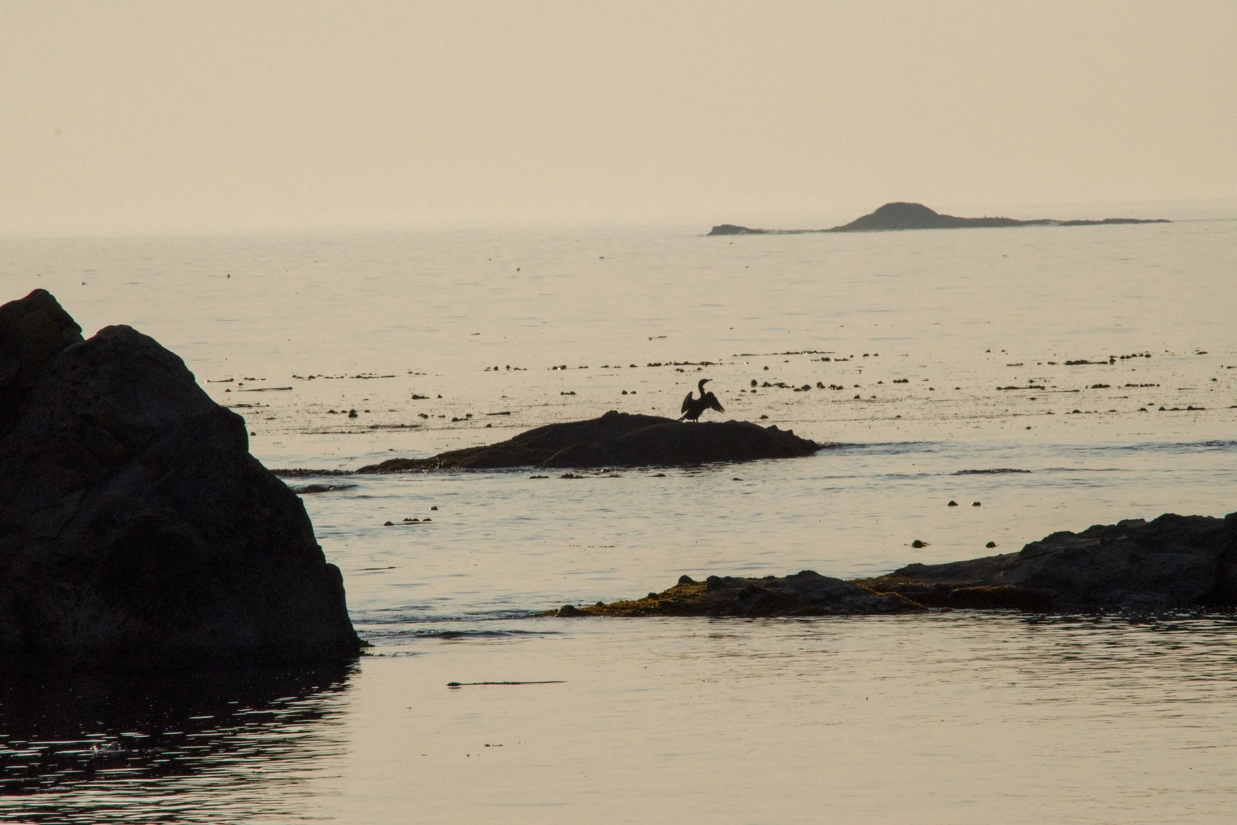 DSC_0137.jpeg