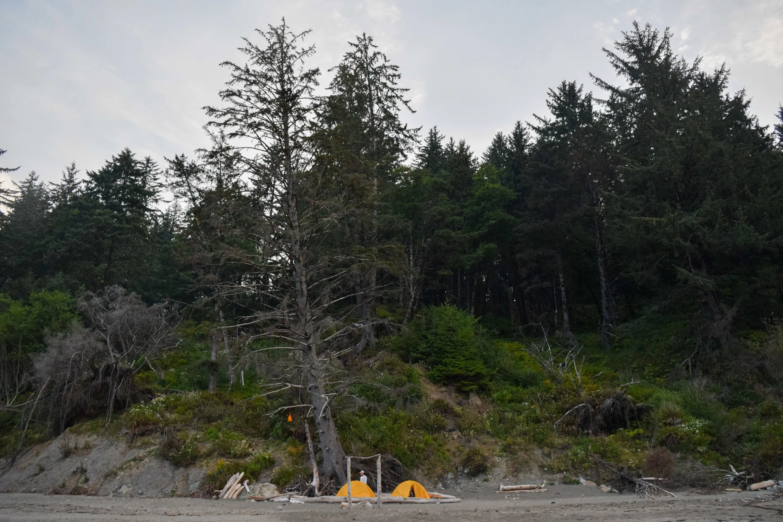 DSC_0269.jpg