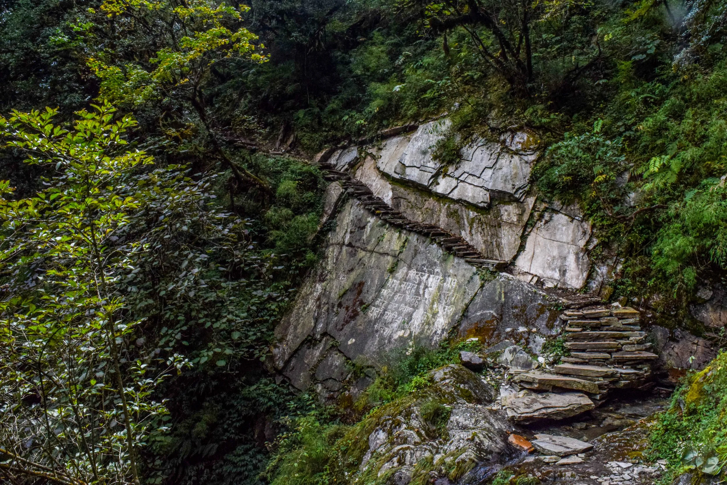 Trail.jpg