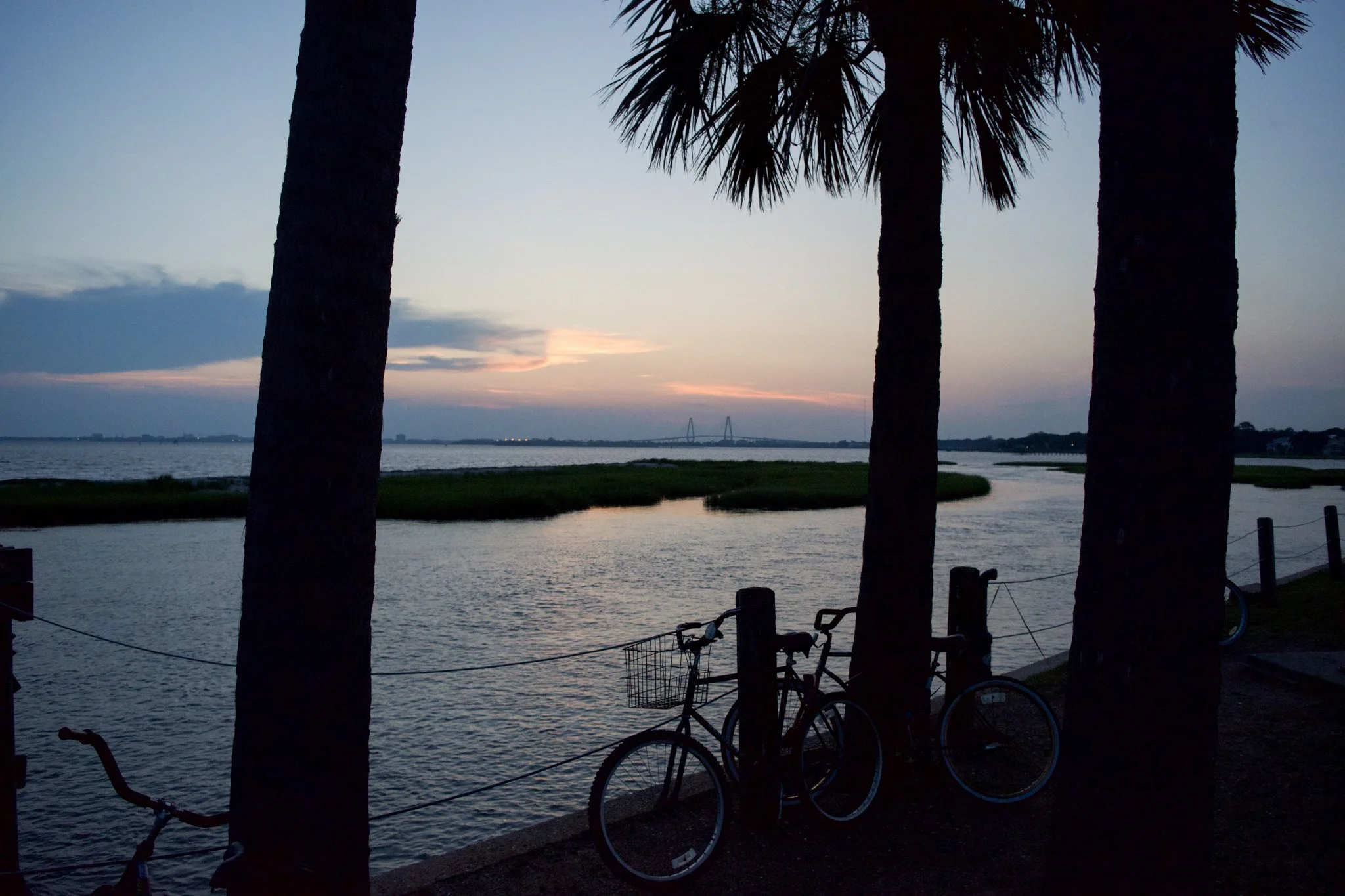 IMG_2857.jpeg