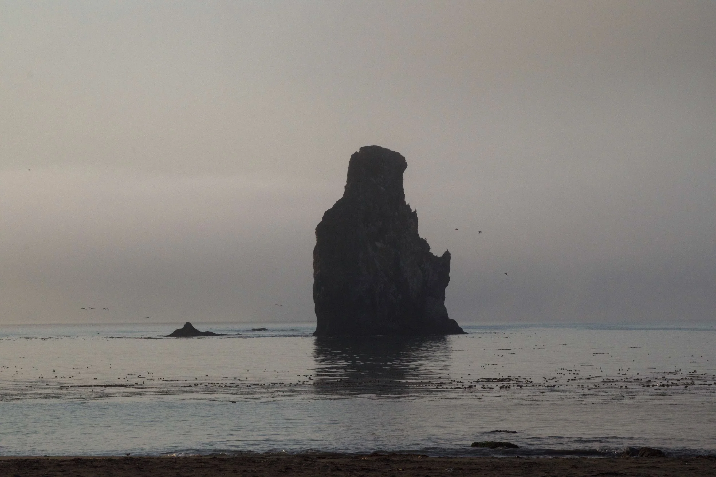 DSC_0361.jpeg