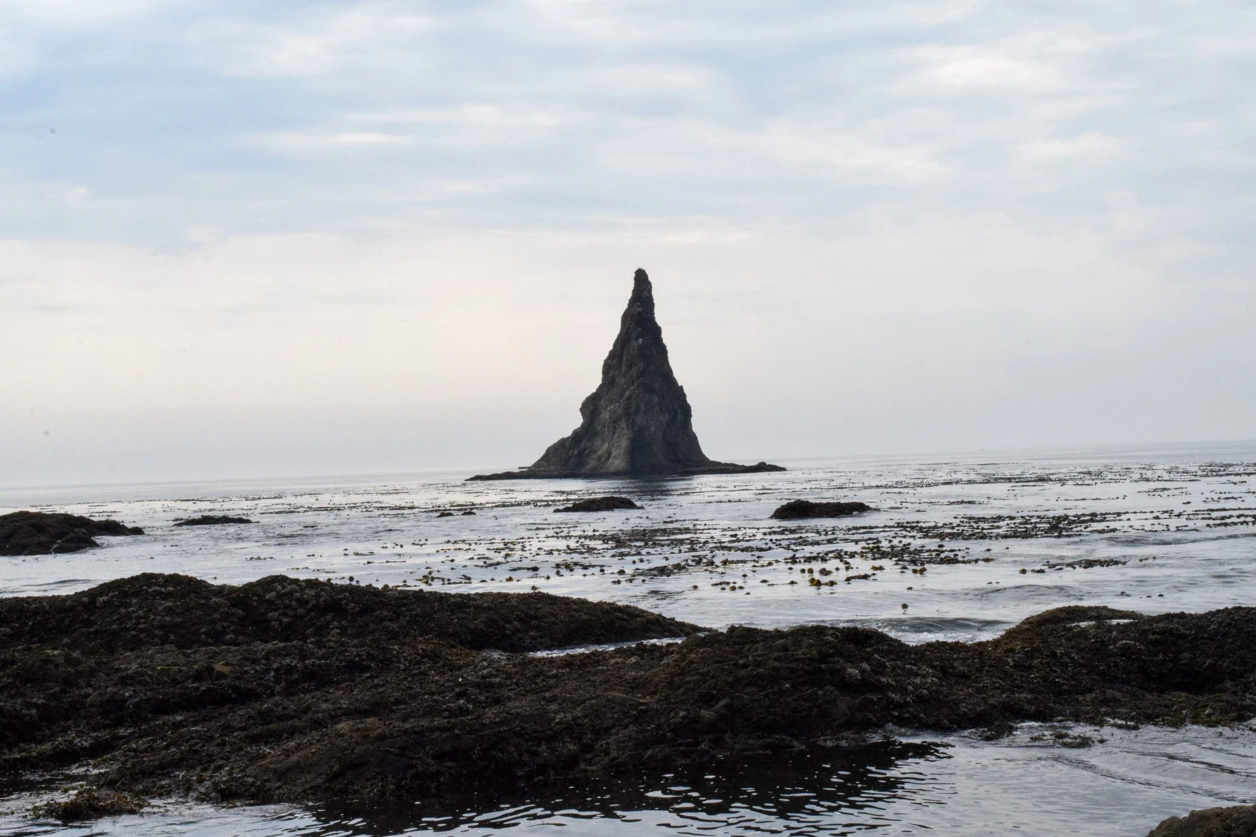 DSC_0031.jpeg