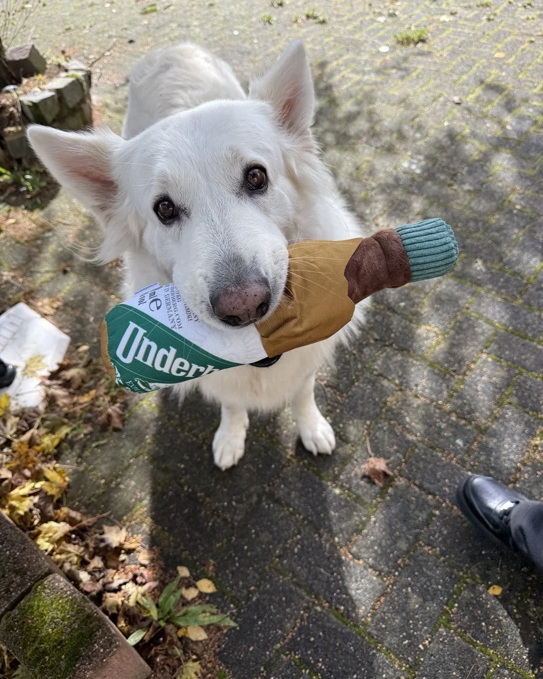 Wie der Herr&hellip;