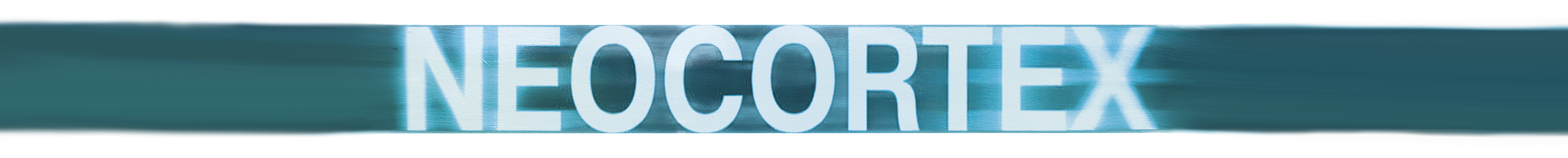 Thomas D Neocortex Tour