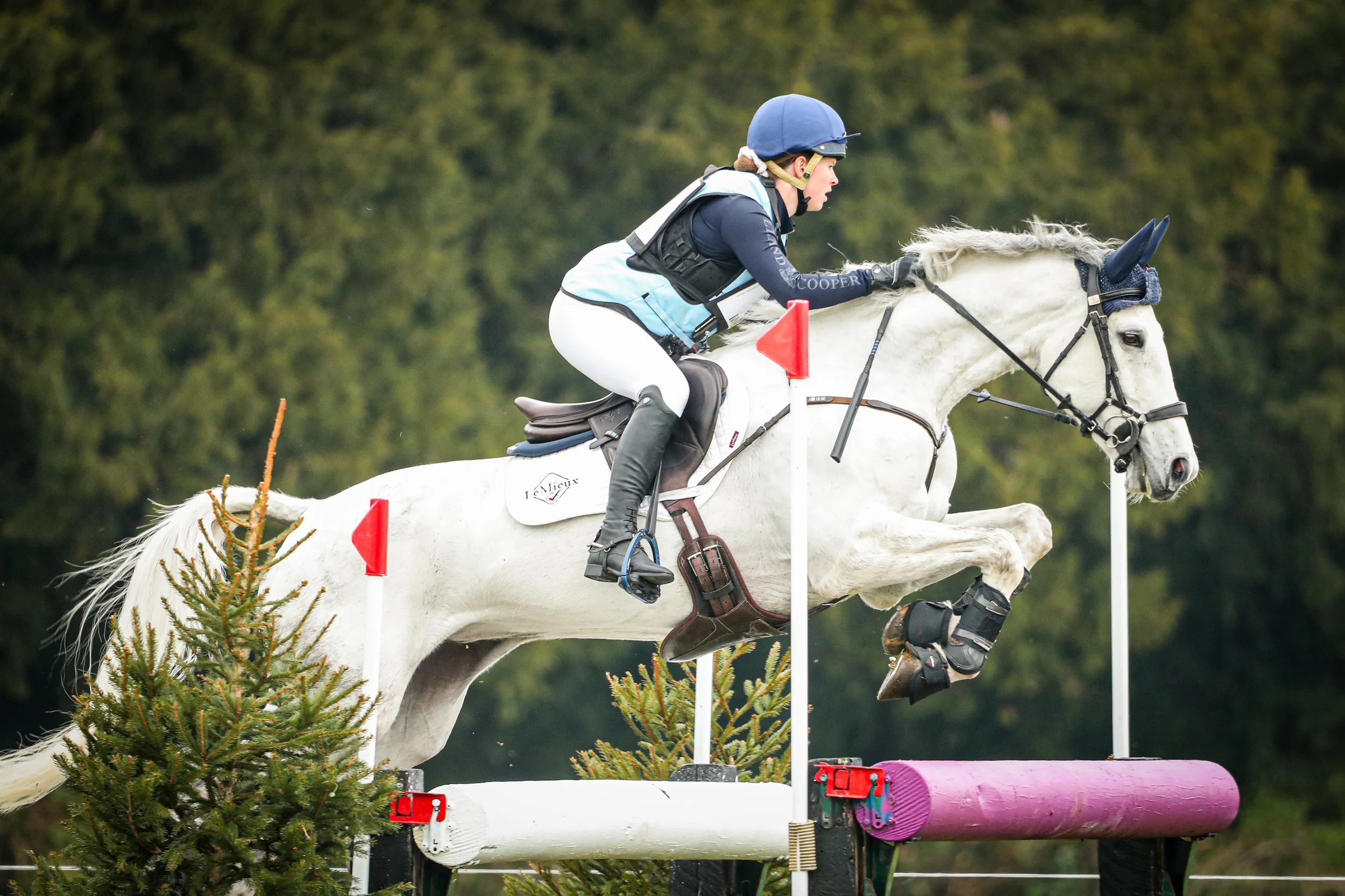 Eventing Reels - One Horse