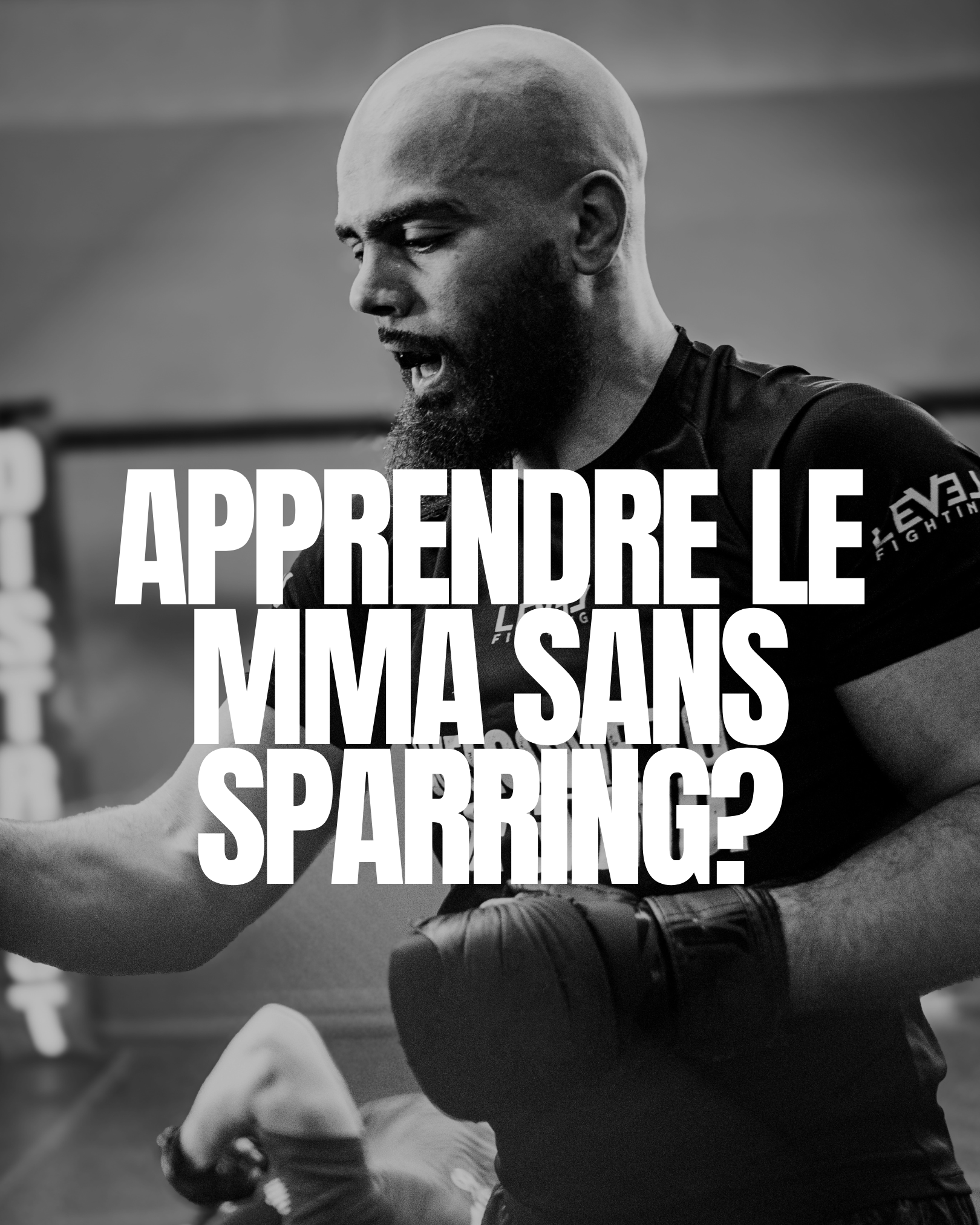 APPRENDRE LE MMA SANS SPARRING ? 