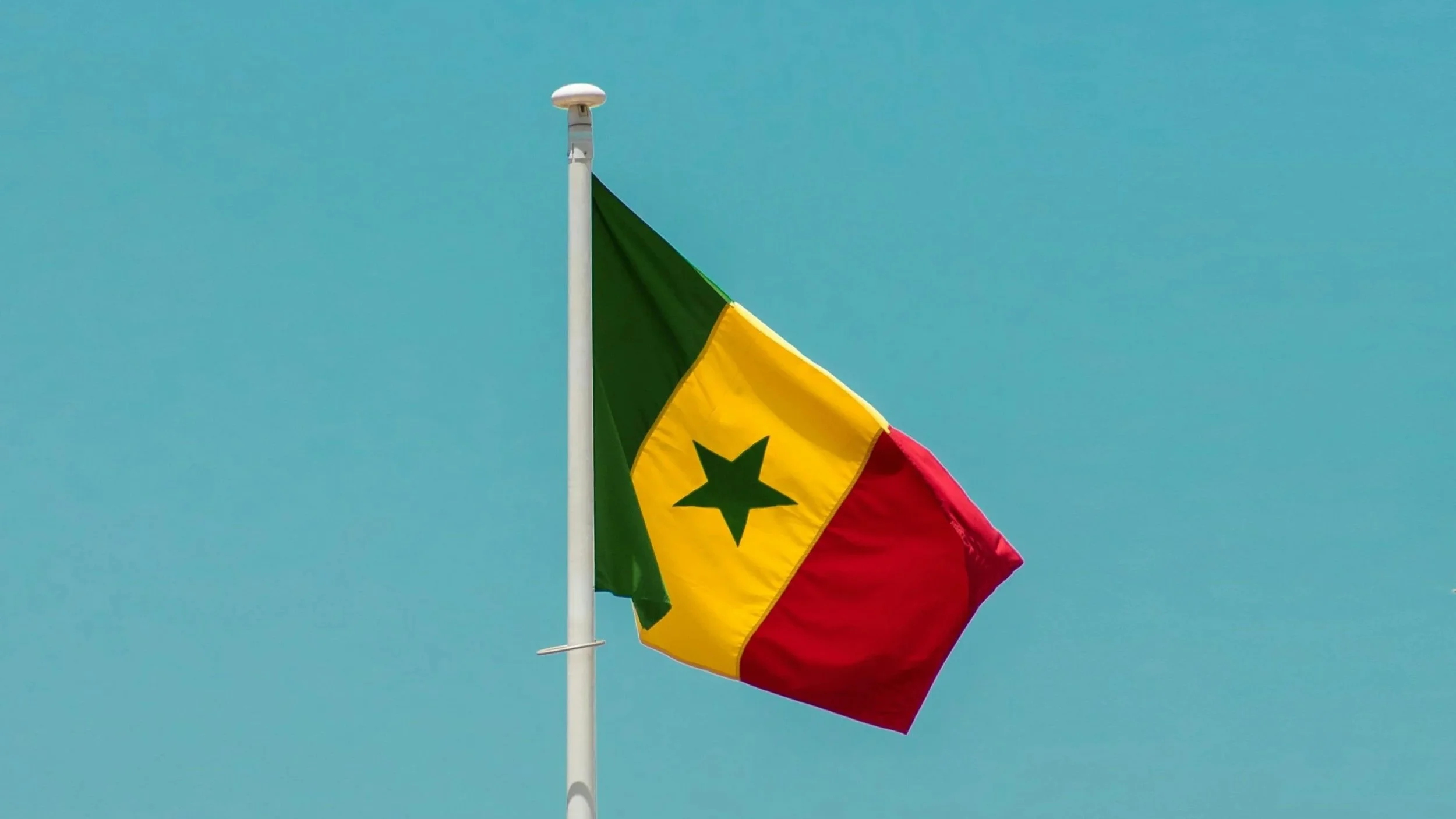 How to Plan the Perfect Trip to Senegal